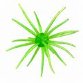 20mm PULSE POD- Toxic Melon
