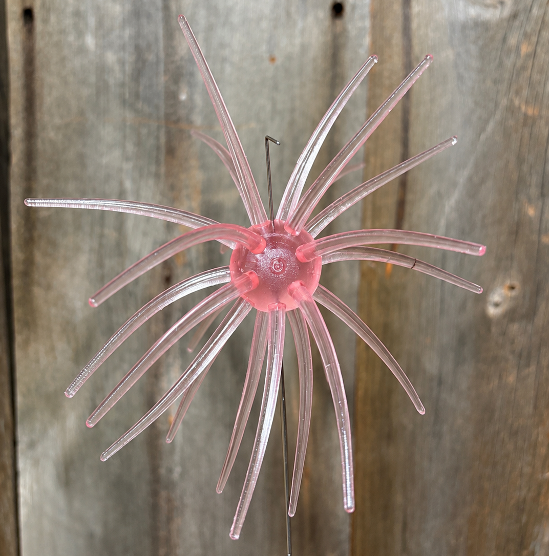25mm Pulse Pod- Salmon